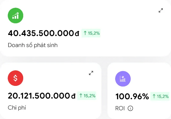 Báo cáo Doanh số, chi phí, ROI