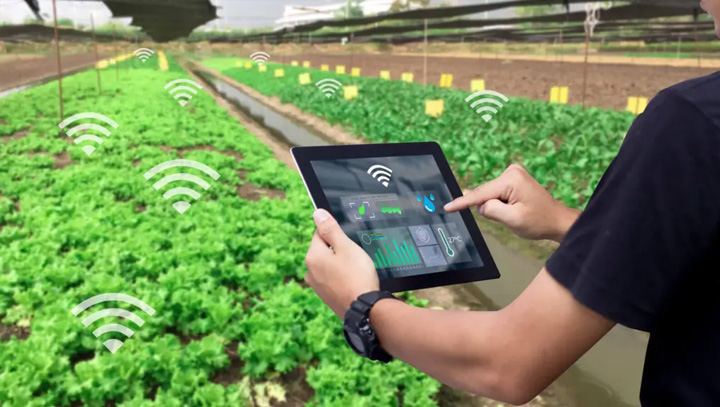 ứng dụng IoT trong nông nghiệp