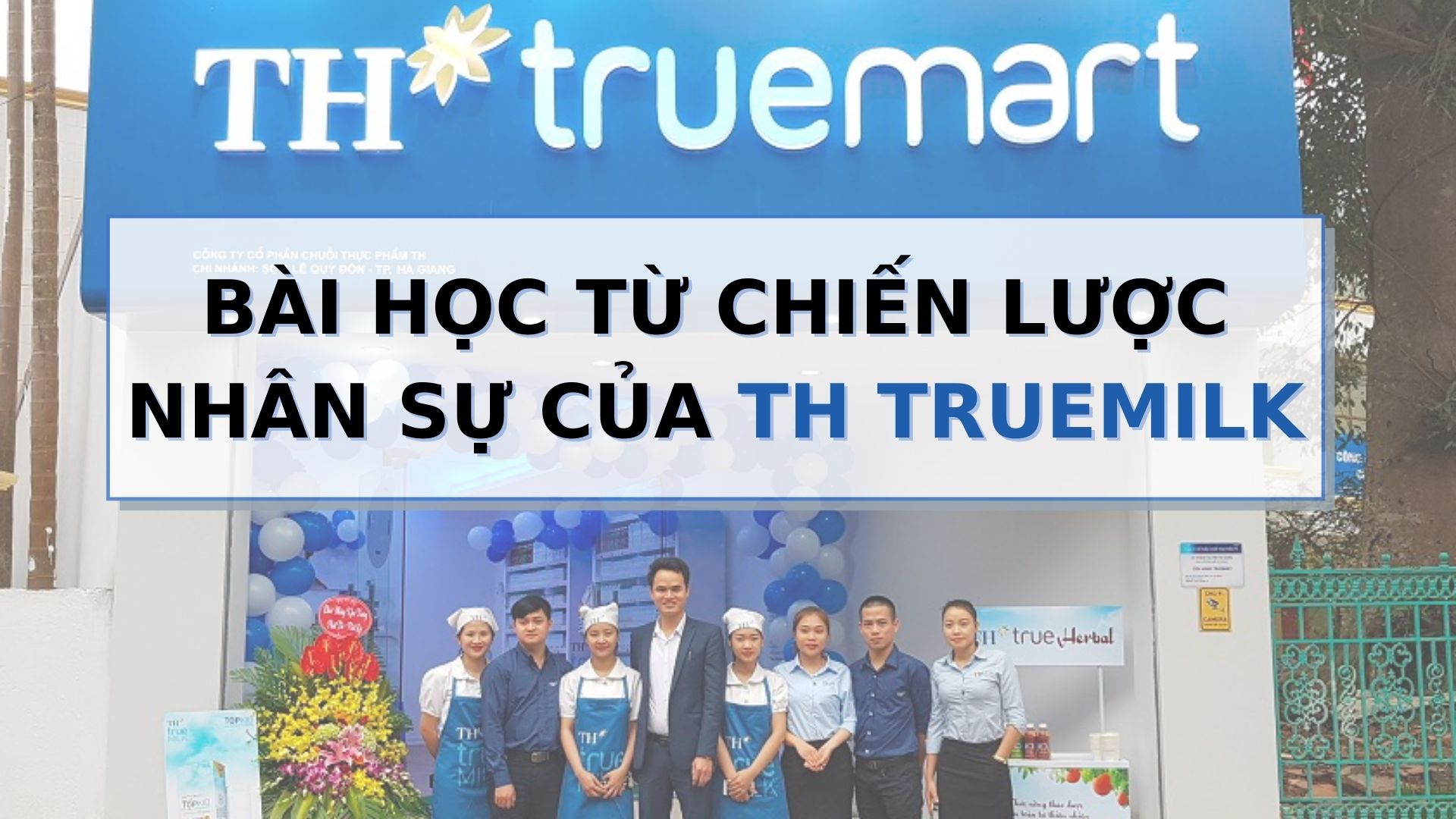 chien luoc nhan su th truemilk