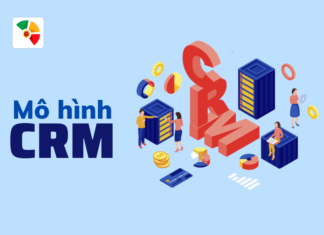 Mô hình CRM AMIS Ava