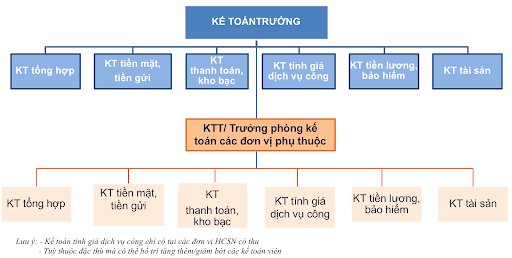 Sơ đồ 3: Mô hình tổ chức bộ máy kế toán phân tán 