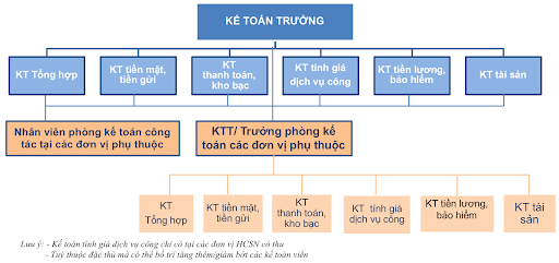 Sơ đồ 4: Mô hình tổ chức bộ máy kế toán hỗn hợp 