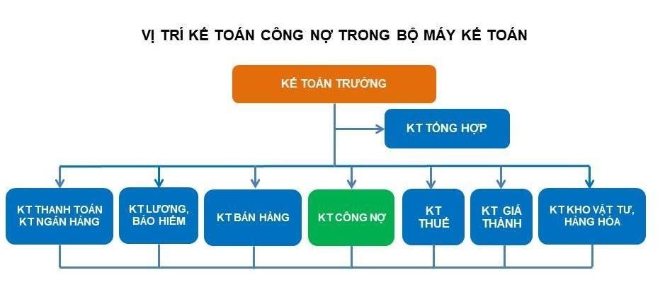 "Hình