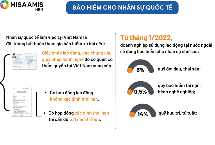 Bảo hiểm cho nhân sự quốc tế