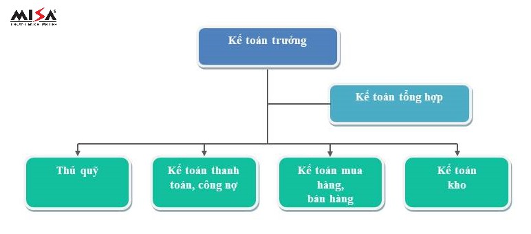 Hình 2: Sơ đồ Tổ chức bộ máy kế toán nhà phân phối 