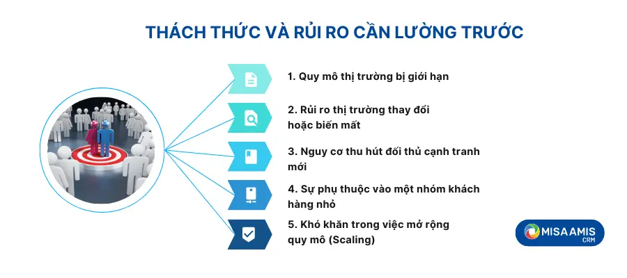 Thách thức, rủi ro của thị trường ngách