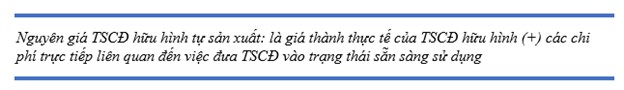 Nguyên giá tài sản cố định tự sản xuất