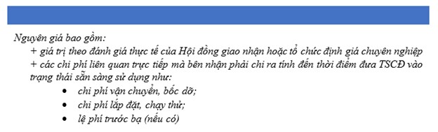 - Tài sản cố định hữu hình được tài trợ, được biếu, được tặng, do phát hiện thừa