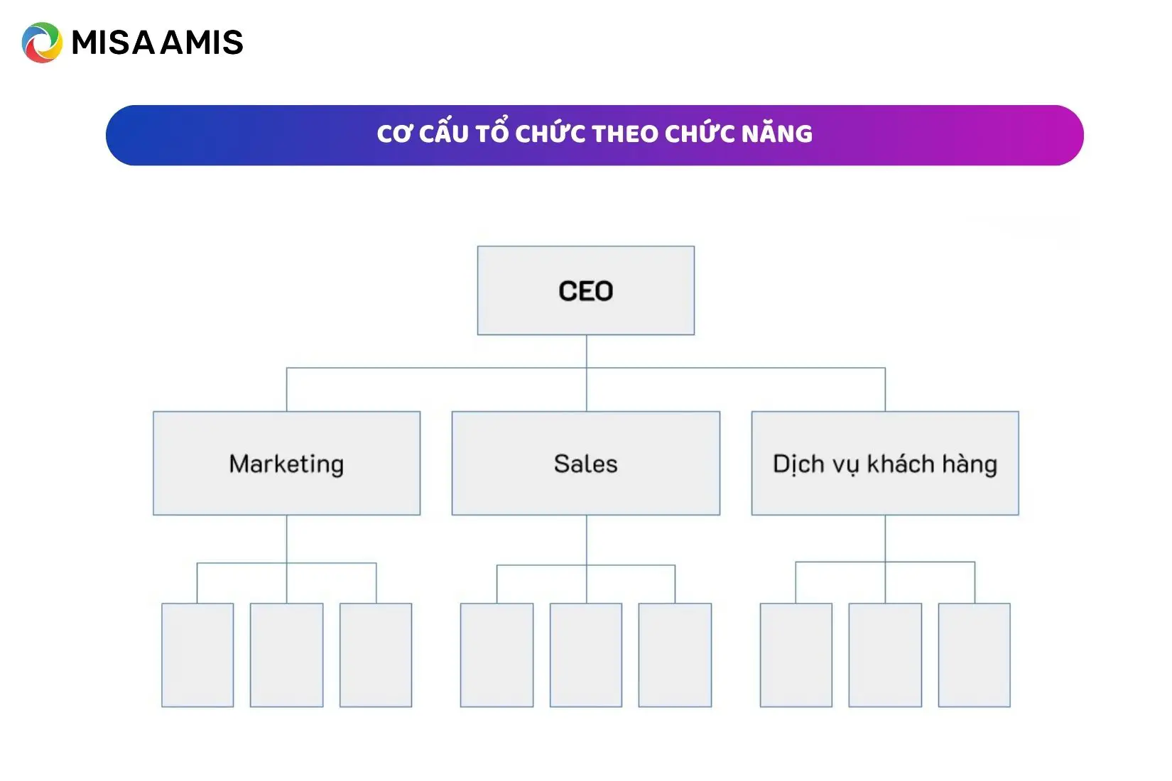 Cơ cấu tổ chức theo chức năng
