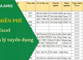 Tai file excel quan ly tuyen dung