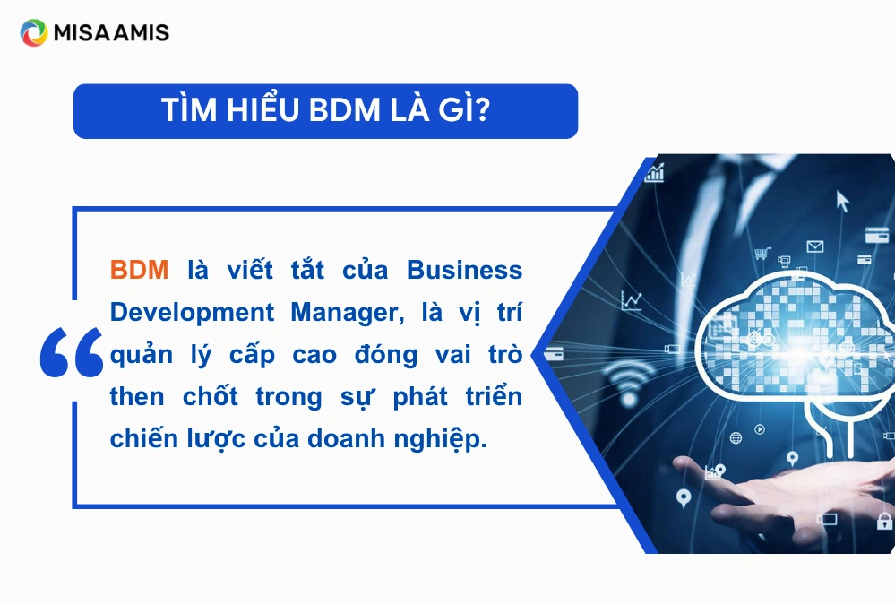 Tìm hiểu BDM là gì?