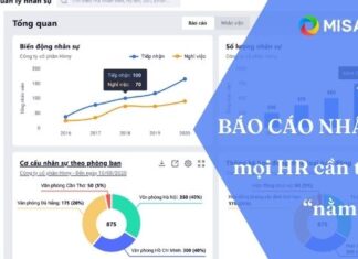 tong hop mau bao cao nhan su