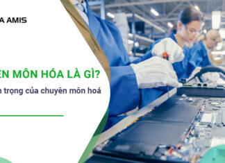 chuyên môn hóa là gì
