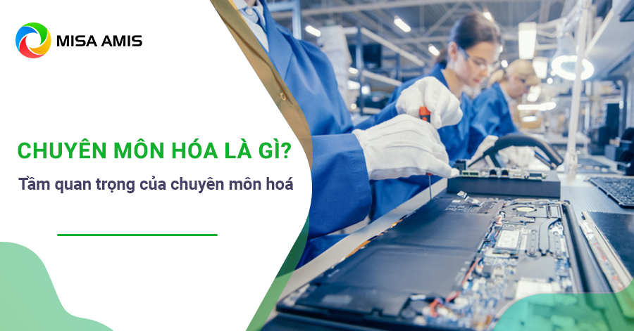 chuyên môn hóa là gì