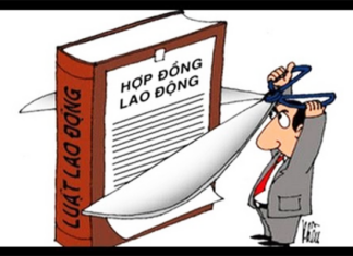 mẫu đơn chấm dứt hợp đồng lao động