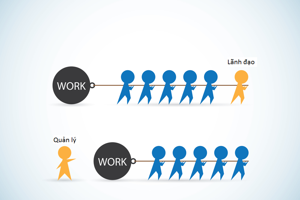 Sự khác nhau giữa lãnh đạo và quản lý 
