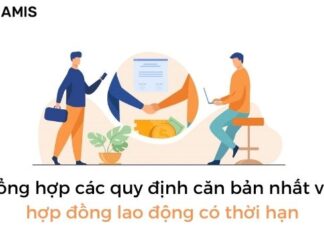 Hình 1_ Tổng hợp các quy định căn bản nhất về hợp đồng lao động có thời hạn