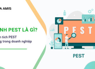 mô hình PEST là gì