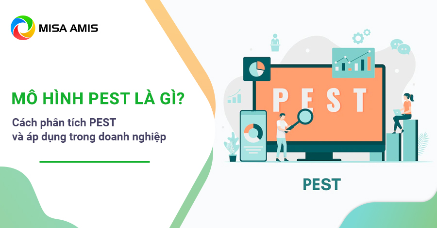 mô hình PEST là gì