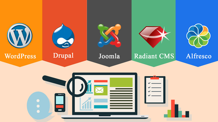 phân loại hệ thống CMS 
