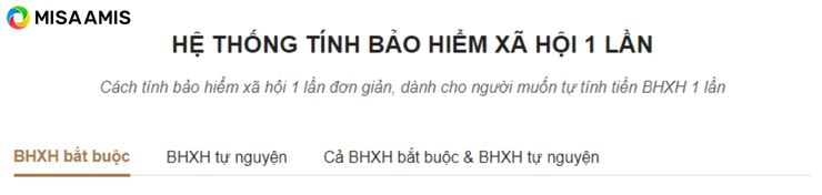 Các lựa chọn trên hệ thống tính BHXH 1 lần