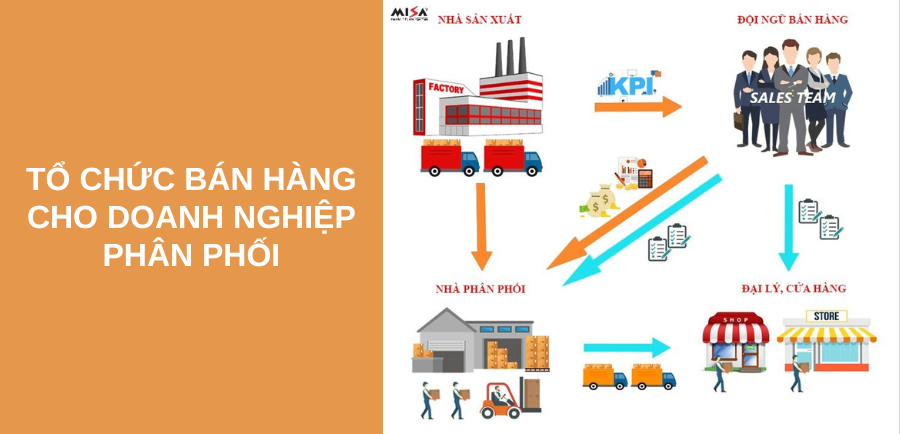 Tổ chức bán hàng cho doanh nghiệp phân phối