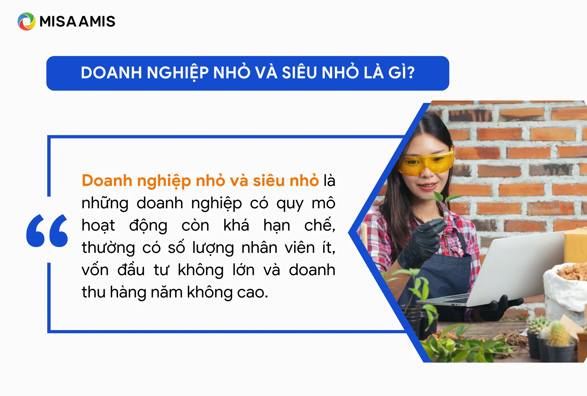 Doanh nghiệp nhỏ và siêu nhỏ là gì?