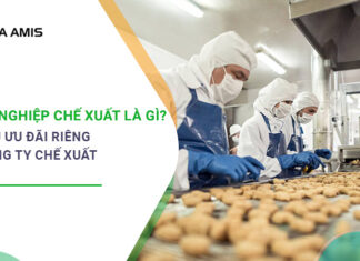 doanh nghiệp chế xuất là gì