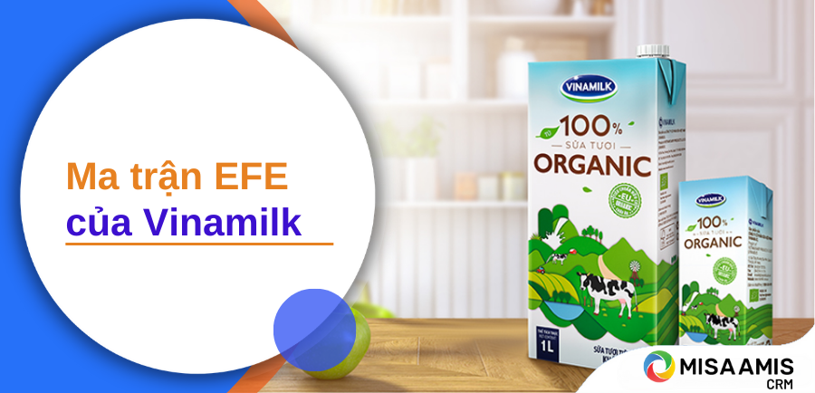 ma trận EFE của Vinamilk