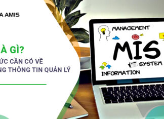 mis là gì