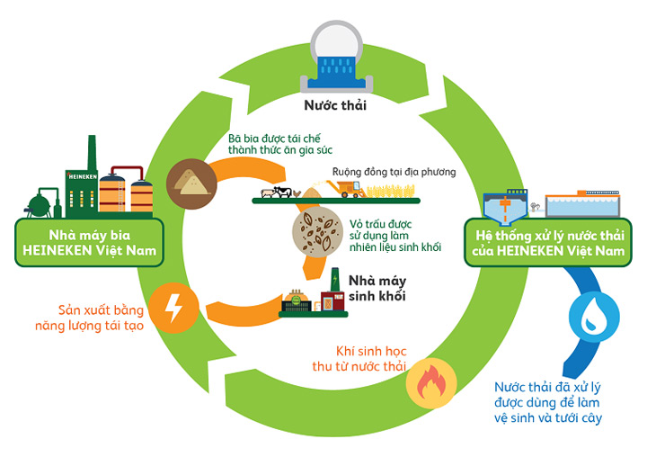 ví dụ về mô hình kinh tế tuần hoàn ở Việt Nam