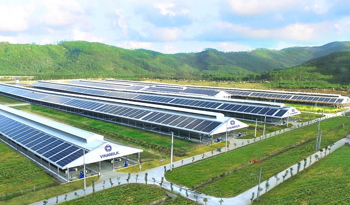 chuỗi cung ứng của vinamilk hoạt động như thế nào