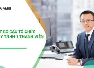 cơ cấu tổ chức công ty tnhh 1 thành viên