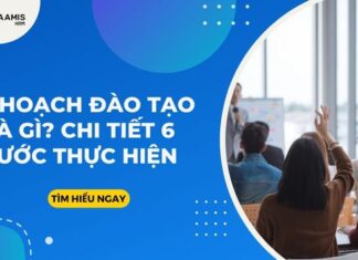 Kế hoạch đào tạo nhân viên là gì? Chi tiết 6 bước thực hiện