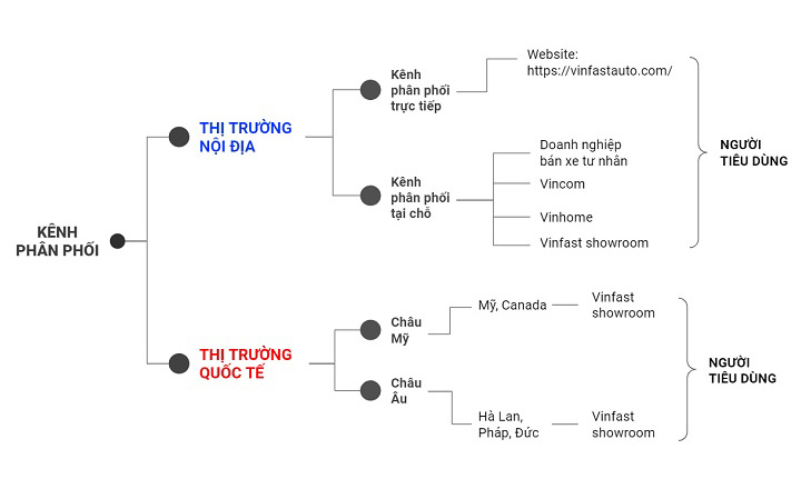 mô hình chuỗi cung ứng của vinfast kênh phân phối