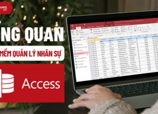 Tổng quan phần mềm quản lý nhân sự bằng Access miễn phí
