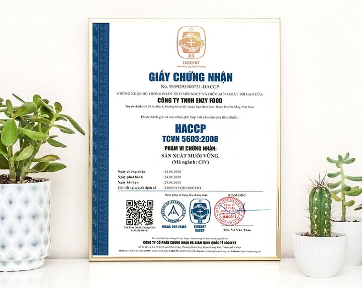 thực trạng ứng dụng haccp tại Việt Nam