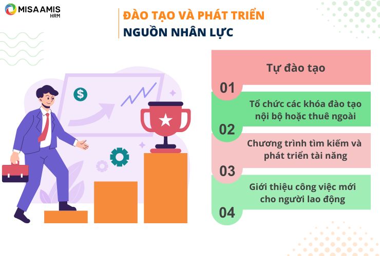 Đào tạo và phát triển nguồn nhân lực