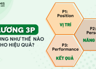 Lương 3P: Doanh nghiệp cần áp dụng như thế nào cho hiệu quả?