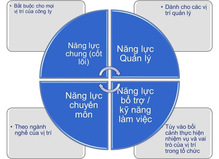 Mô hình khung năng lực có 4 thành phần chính