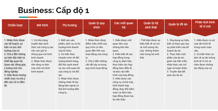 Cấp độ 1 của Mô hình năng lực lõi của CGMA