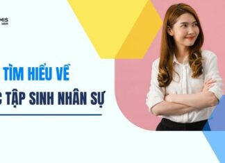 Thực tập sinh nhân sự là gì? Mô tả công việc của thực tập sinh nhân sự