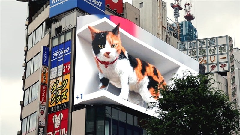 dooh