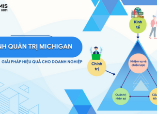 Mô hình quản trị nhân lực Michigan - Giải pháp hiệu quả cho doanh nghiệp