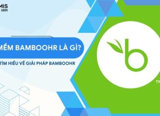 Phần mềm BambooHR - Giải pháp quản lý nhân sự toàn diện