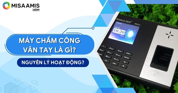 Máy chấm công vân tay là gì? Tìm hiểu nguyên lý hoạt động