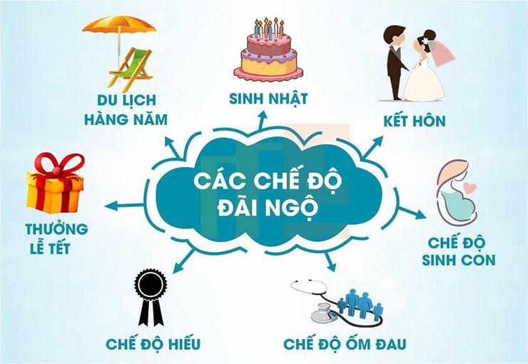 Các chế độ đãi ngộ của VinGroup 