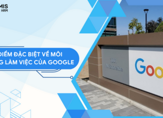 Tìm hiểu môi trường làm việc của Google - Có thực sự như lời đồn?