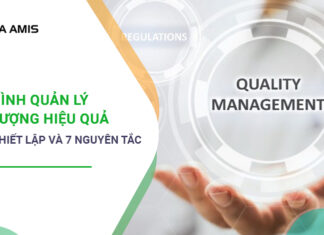 quy trình quản lý chất lượng