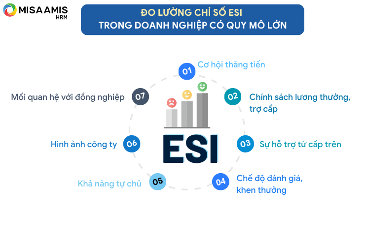 Đo lường chỉ số ESI trong doanh nghiệp có quy mô lớn